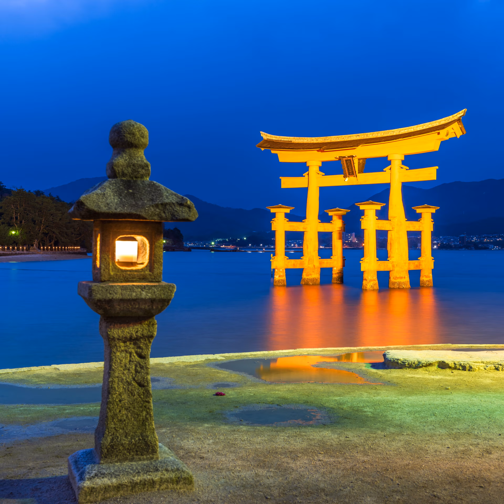The 13 Best Torii Gates in Japan