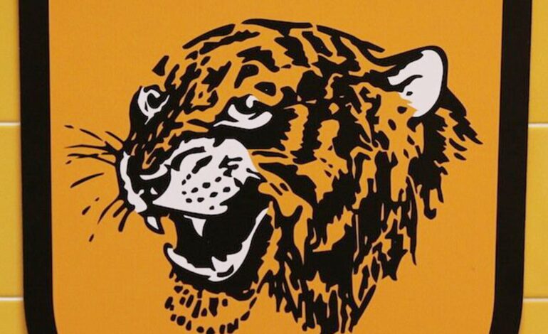 Hull City FC History 2526