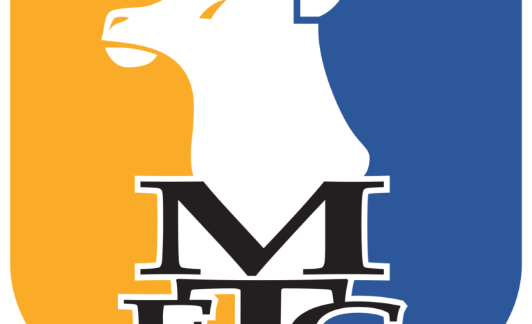 Mansfield Town FC History